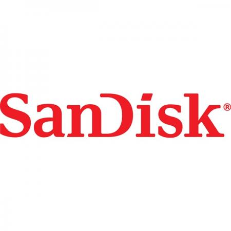 Sandisk 1TB USB3.1/Type-C Dual Drive Luxe Ezüst (186467) Flash Drive
